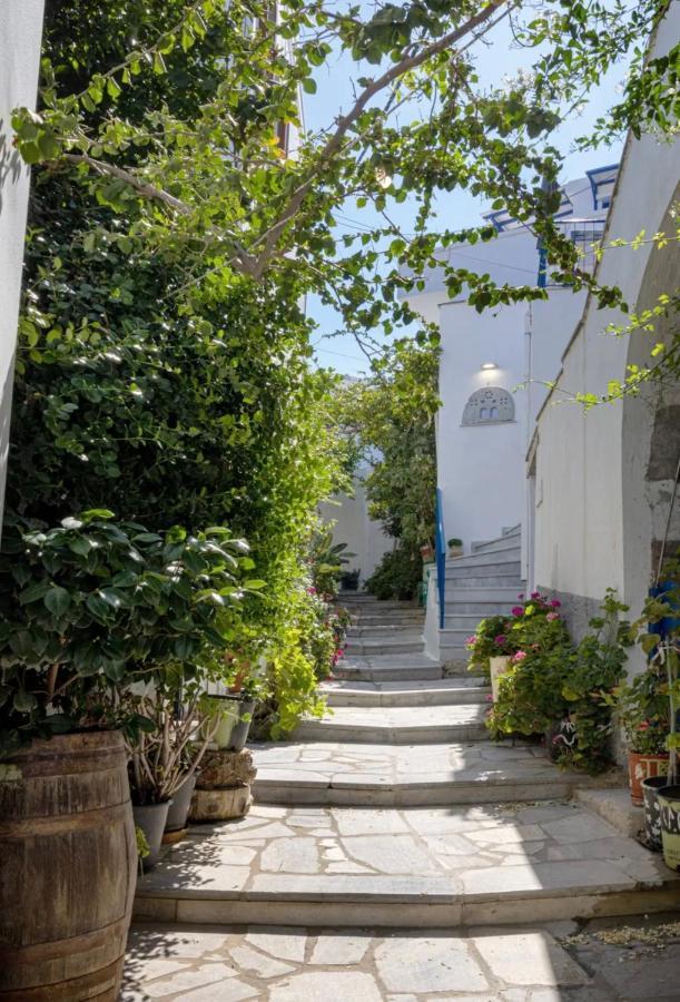 Hébergement de vacances βόλτα καλλονή